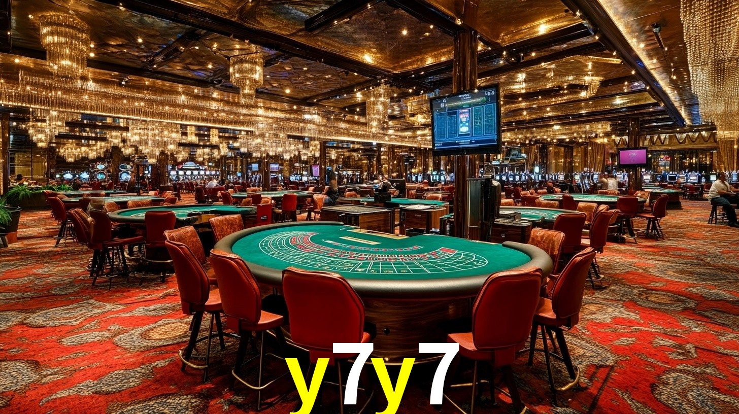 y7y7,y7y7.com